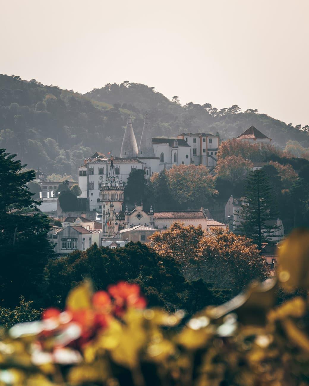 Views of the Sintra Palace